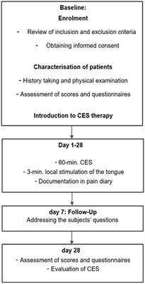 Efficacy of cranial electrotherapy stimulation in patients with burning mouth syndrome: a randomized, controlled, double-blind pilot study